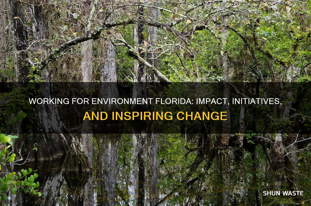 how is working for environment florida
