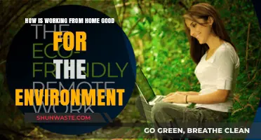 Eco-Friendly Remote Work: How Home Offices Benefit the Environment