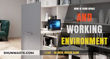 Crafting Productivity: How Your Space and Working Environment Impact Success
