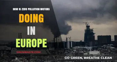 Zero Pollution Motors: Europe's Progress