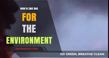 Zinc's Environmental Impact: Pollution, Ecosystem Disruption, and Sustainability Challenges