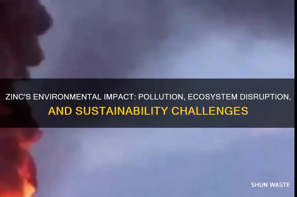 how is zinc bad for the environment