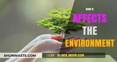 Environmental Impact Unveiled: How Human Actions Shape Our Planet's Future