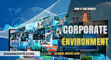 Boosting Productivity: How Corporate Environments Thrive with Strategic Benefits