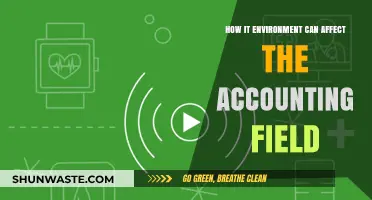 How IT Environment Transforms Accounting Practices and Efficiency