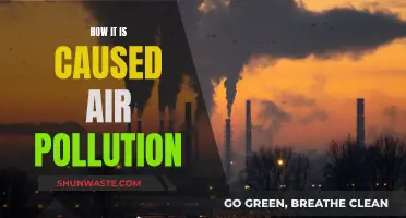 Air Pollution: The Causes and Effects on Our Environment