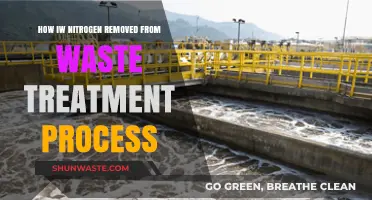 Efficient Nitrogen Removal Techniques in Wastewater Treatment Processes