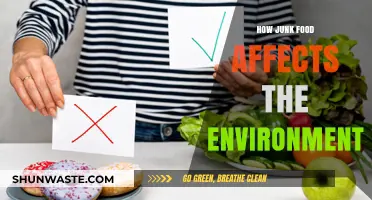 Junk Food's Hidden Cost: Environmental Impact and Sustainability Concerns