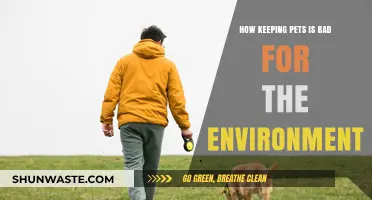 Pet Ownership's Hidden Costs: Environmental Impact of Keeping Pets