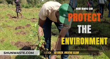 Sustainable Kenya: Strategies to Safeguard Our Environment and Future