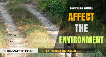 Killing Animals: Devastating Environmental Impacts and Ecosystem Disruption Explained