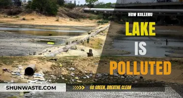 Kolleru Lake: A Battle Against Pollution