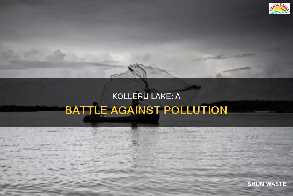 how kolleru lake is polluted