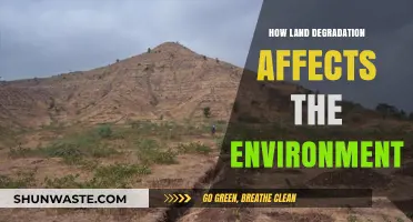 Land Degradation's Devastating Impact on Ecosystems and Climate Health