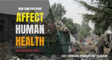 Land Pollution's Impact: Human Health at Risk