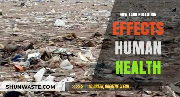 Land Pollution: Its Impact on Human Health