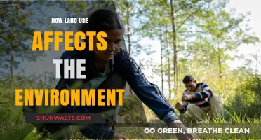 Land Use Impacts: Shaping Ecosystems and Environmental Sustainability