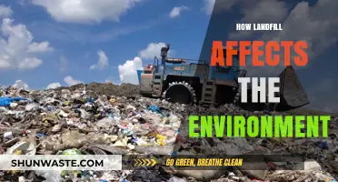 Landfill's Environmental Impact: Pollution, Wildlife, and Climate Change Concerns