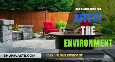 Landscaping's Impact: Shaping Ecosystems and Environmental Sustainability