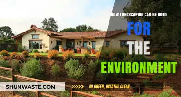 Eco-Friendly Landscaping: Transforming Your Yard into a Green Haven