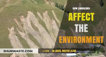 Landslides' Environmental Impact: Destruction, Erosion, and Ecosystem Disruption Explained