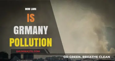 Germany's Pollution Problem: How Large Is It?