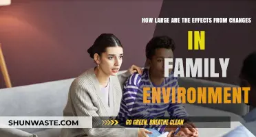 Family Environment Shifts: Measuring Their Impact on Child Development