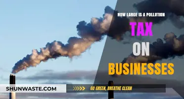 Pollution Tax: A Heavy Burden for Businesses?