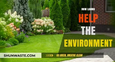 Green Benefits: How Lawns Contribute to a Healthier Environment
