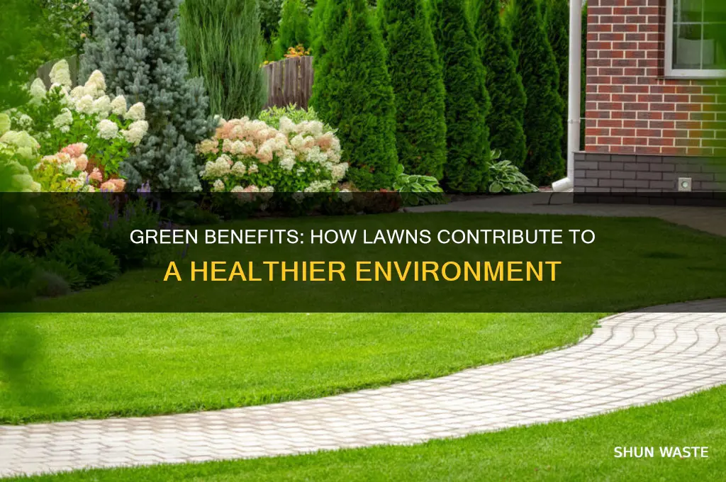 how lawns help the environment