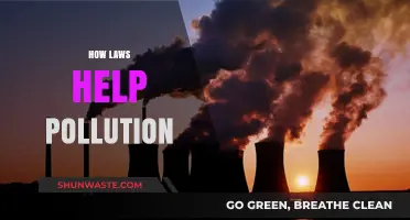Laws: A Powerful Tool to Fight Pollution