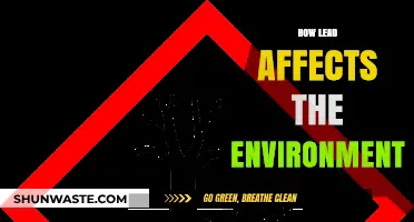 Lead's Environmental Impact: Pollution, Wildlife Threats, and Ecosystem Disruption