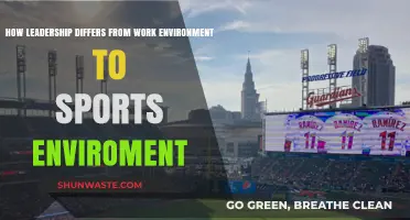 Leadership Dynamics: Contrasting Workplaces and Sports Arenas