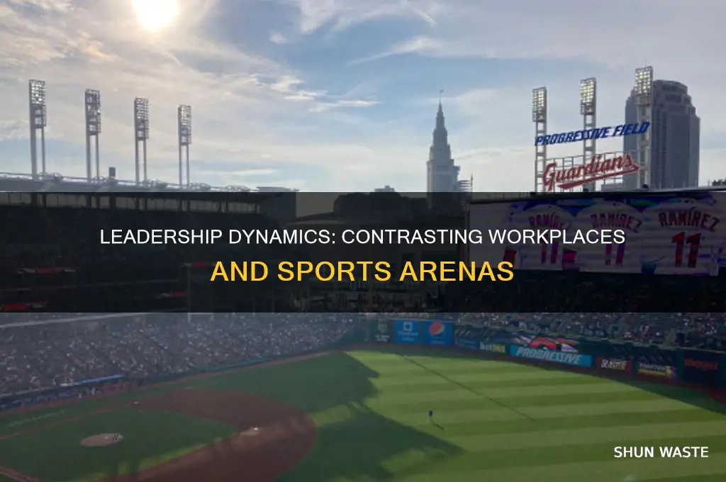how leadership differs from work environment to sports enviroment