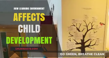Shaping Young Minds: The Impact of Learning Environments on Child Development
