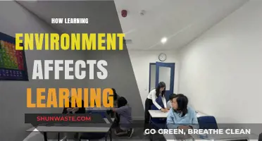 The Impact of Learning Environments on Academic Success and Engagement