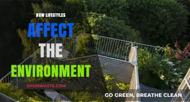 Sustainable Living: How Our Daily Choices Impact the Planet's Health