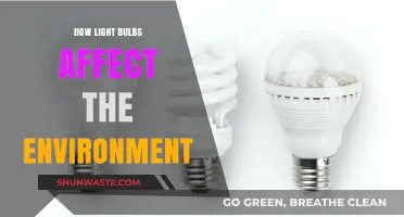 Eco-Impact of Light Bulbs: Environmental Effects and Sustainable Choices
