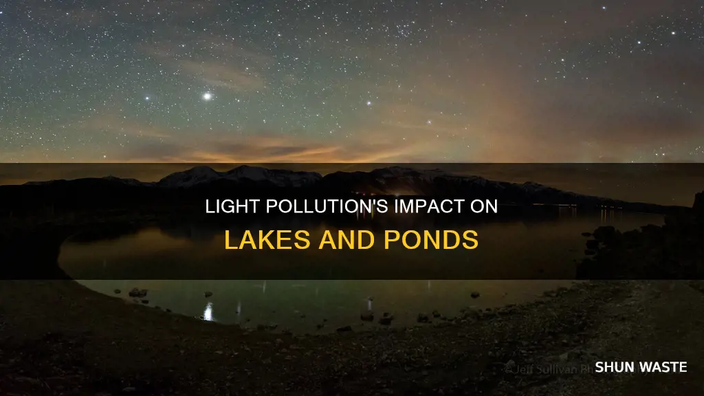 how light pollution affects lakes and ponds