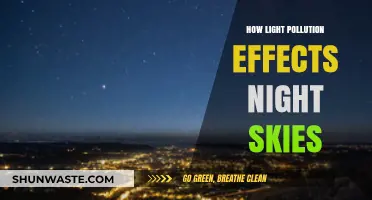 Light Pollution: Stealing the Night Sky's Beauty