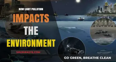Light Pollution: Environmental Impact and Solutions