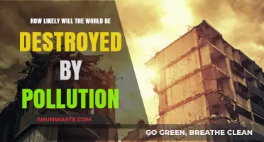 The World's End: Pollution's Deadly Threat