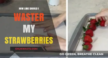 Perfect Strawberry Washing Time: Tips for Fresh, Clean Berries Every Time