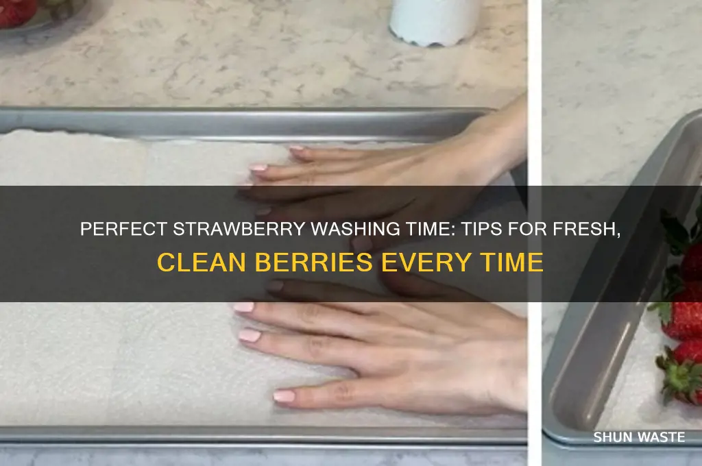 how ling should i waster my strawberries