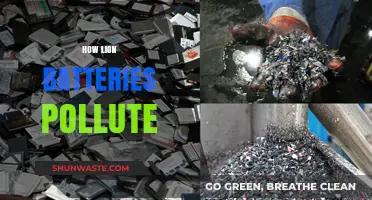 Lion Batteries: Pollution and Environmental Impact