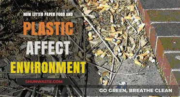 Litter's Impact: How Paper, Food, and Plastic Harm Our Environment