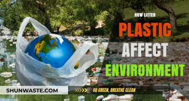 Plastic Litter's Devastating Impact: How It Harms Our Environment