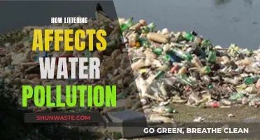 Litter's Impact: Water Pollution and its Devastating Effects