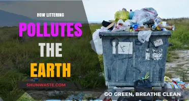 Littering: Harming Our Planet, One Piece at a Time