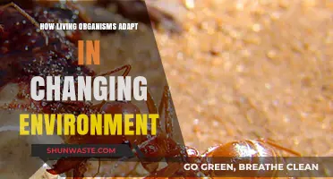 Surviving Shifts: How Living Organisms Adapt to Changing Environments
